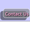 Contact Us Exam Prep Codes